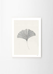 Ginkgo Leaf - Ana Frois