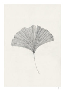 Ginkgo Leaf - Ana Frois