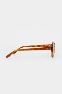 Lola | Honey Tortoise
