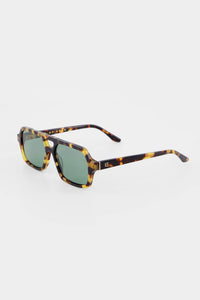 Lola | Tortoise