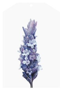 Gift Tag - Lavender