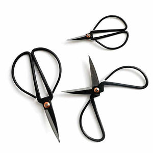 Herb Scissors - Set of 3 by Father Rabbit Goods | City Hall
