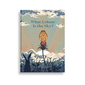 What Colour Is The Sky? by Beatnik Publishing | City Hall